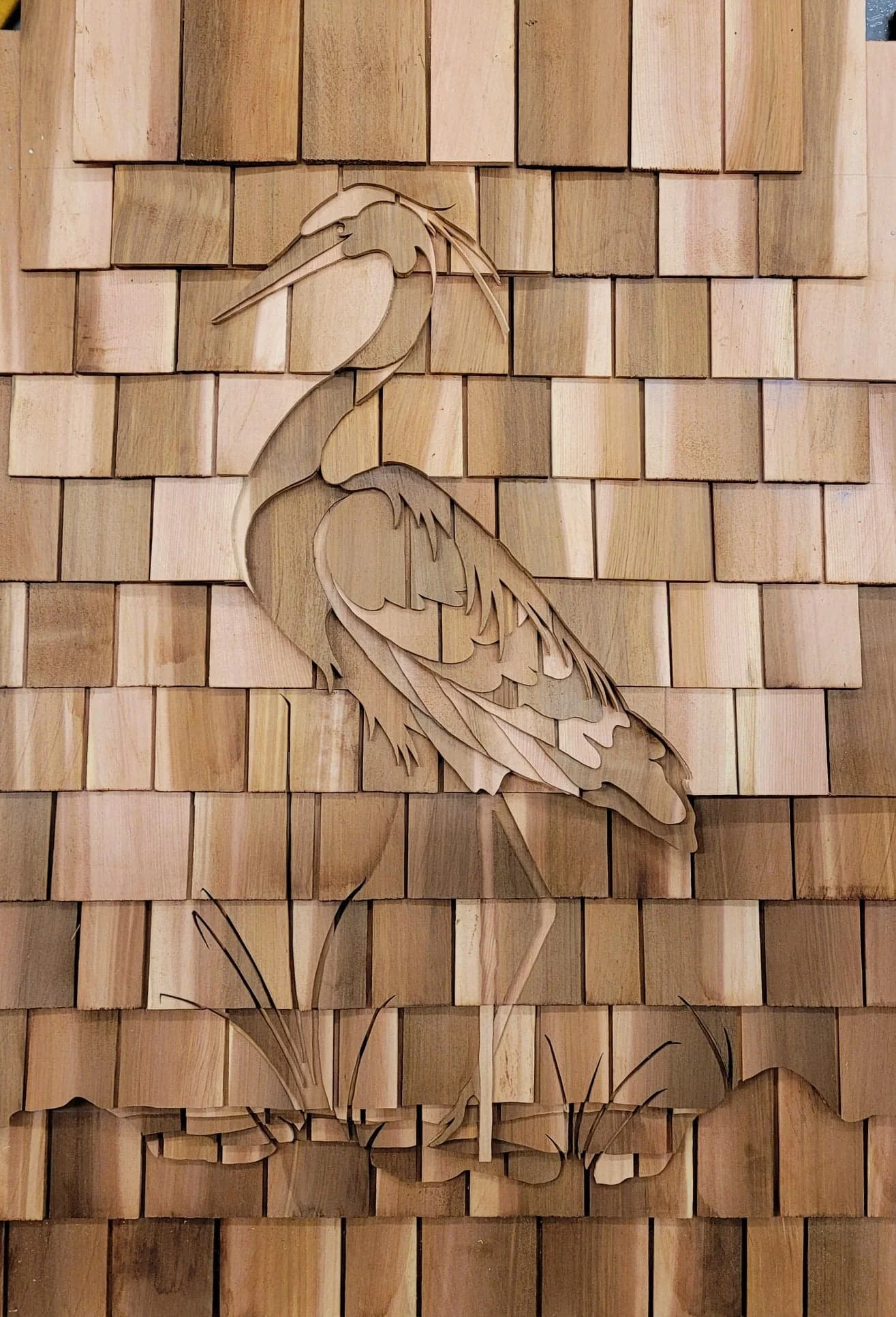 Cedar Spiral Designs — Kiwi Gardens